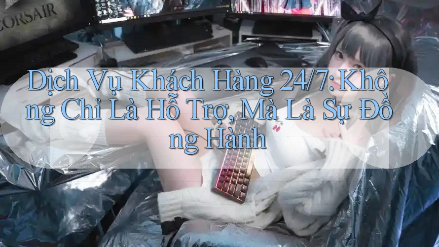 Dịch Vụ Khách Hàng 24/7: Không Chỉ Là Hỗ Trợ, Mà Là Sự Đồng Hành