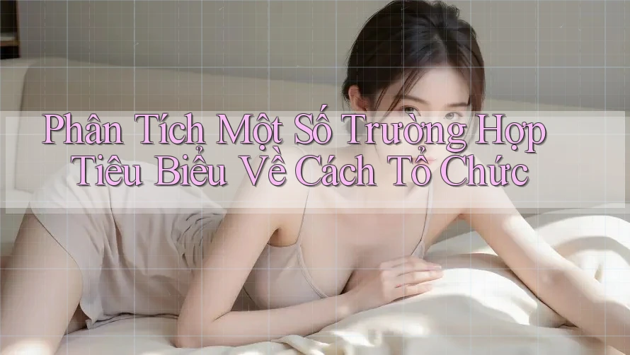 Phân Tích Một Số Trường Hợp Tiêu Biểu Về Cách Tổ Chức