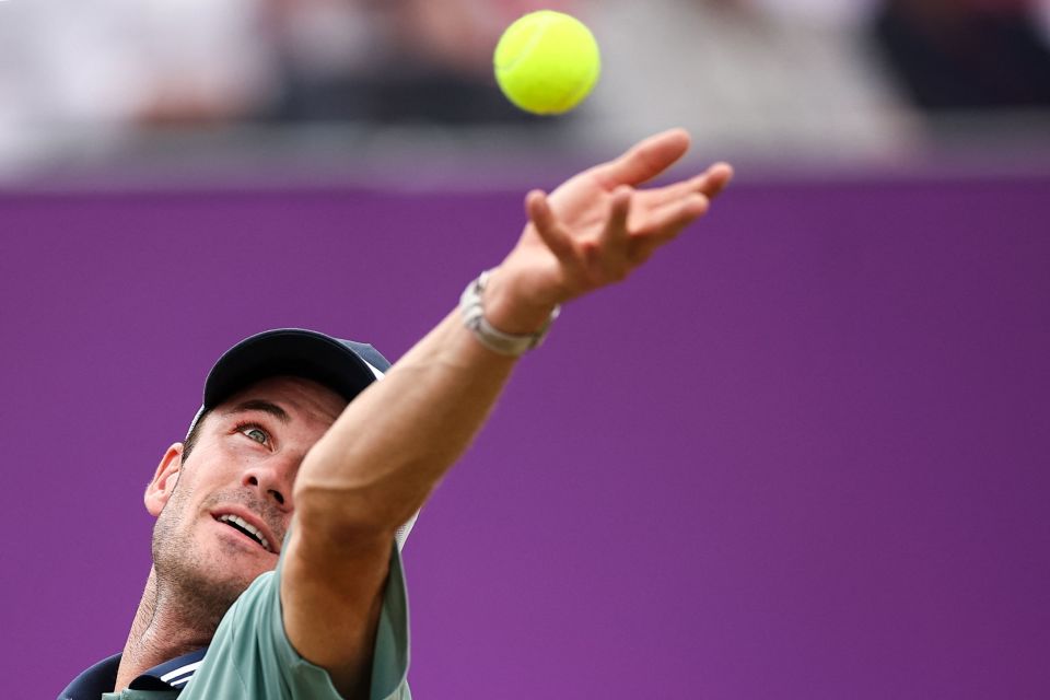 起到了至关 起到了至关