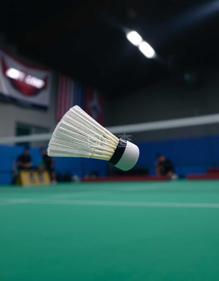 壁纸不仅是 壁纸不仅是