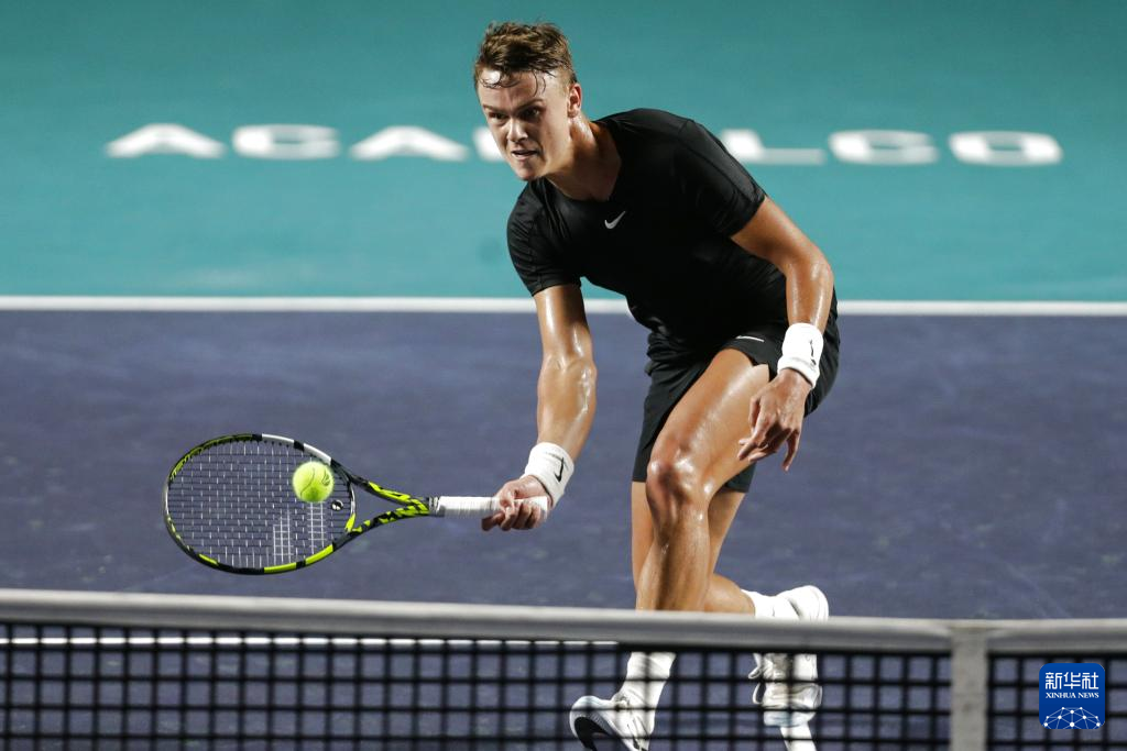 一个训练环 一个训练环