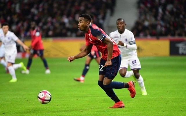 逐渐成型 逐渐成型