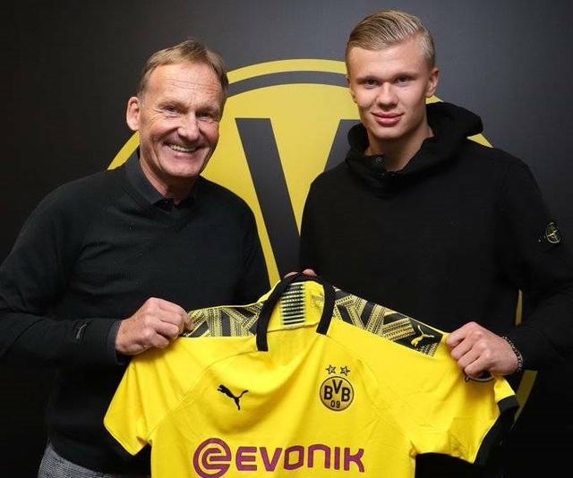 两股力量叠 两股力量叠