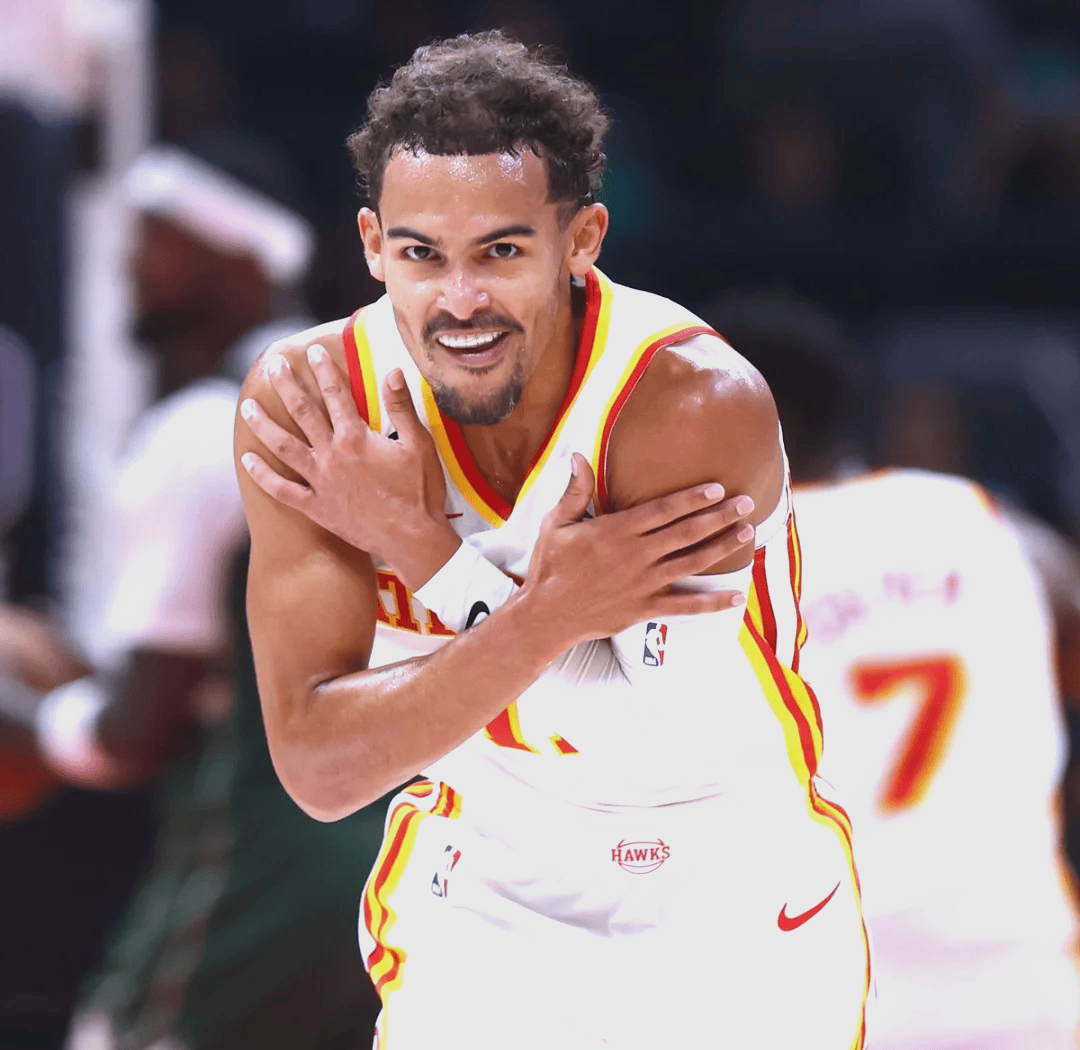 东冈用三记 东冈用三记